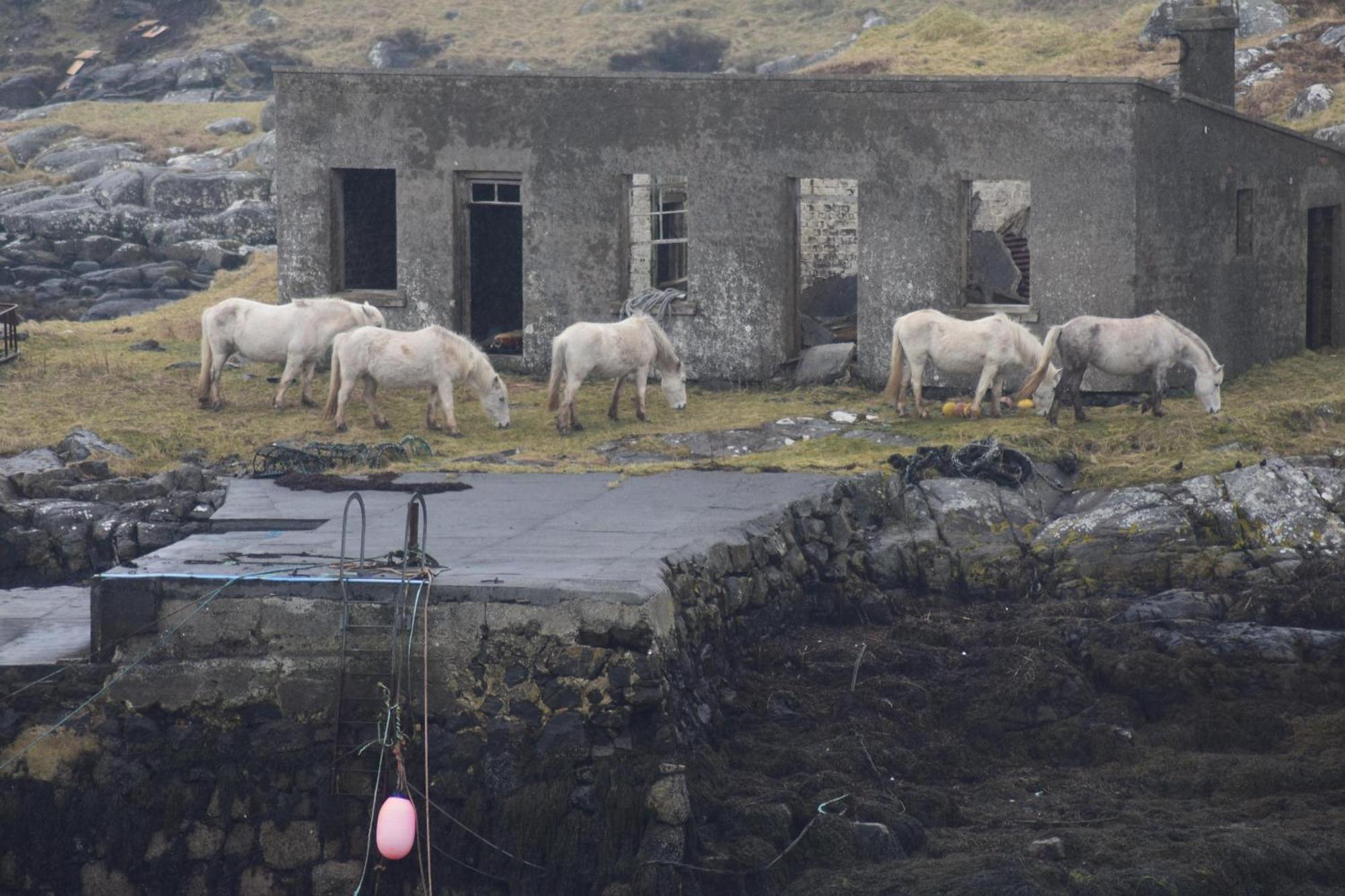 Villa Glamping Pod For 2 Pod Beag Na Haun Eriskay Exterior foto