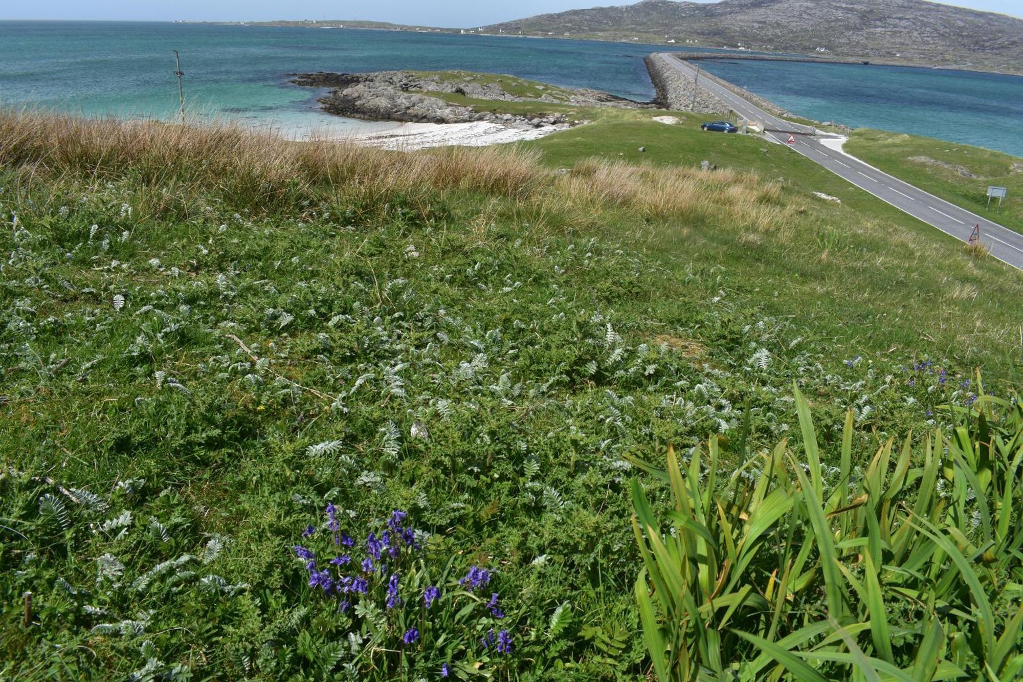 Villa Glamping Pod For 2 Pod Beag Na Haun Eriskay Exterior foto